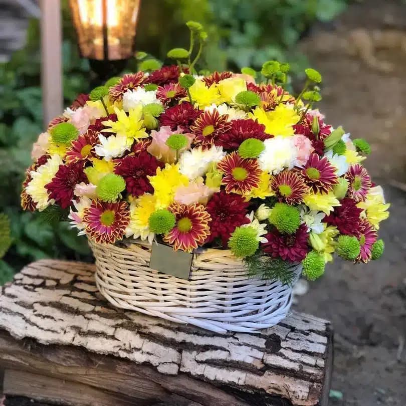 سبد گل طراوت — تصویر ۲