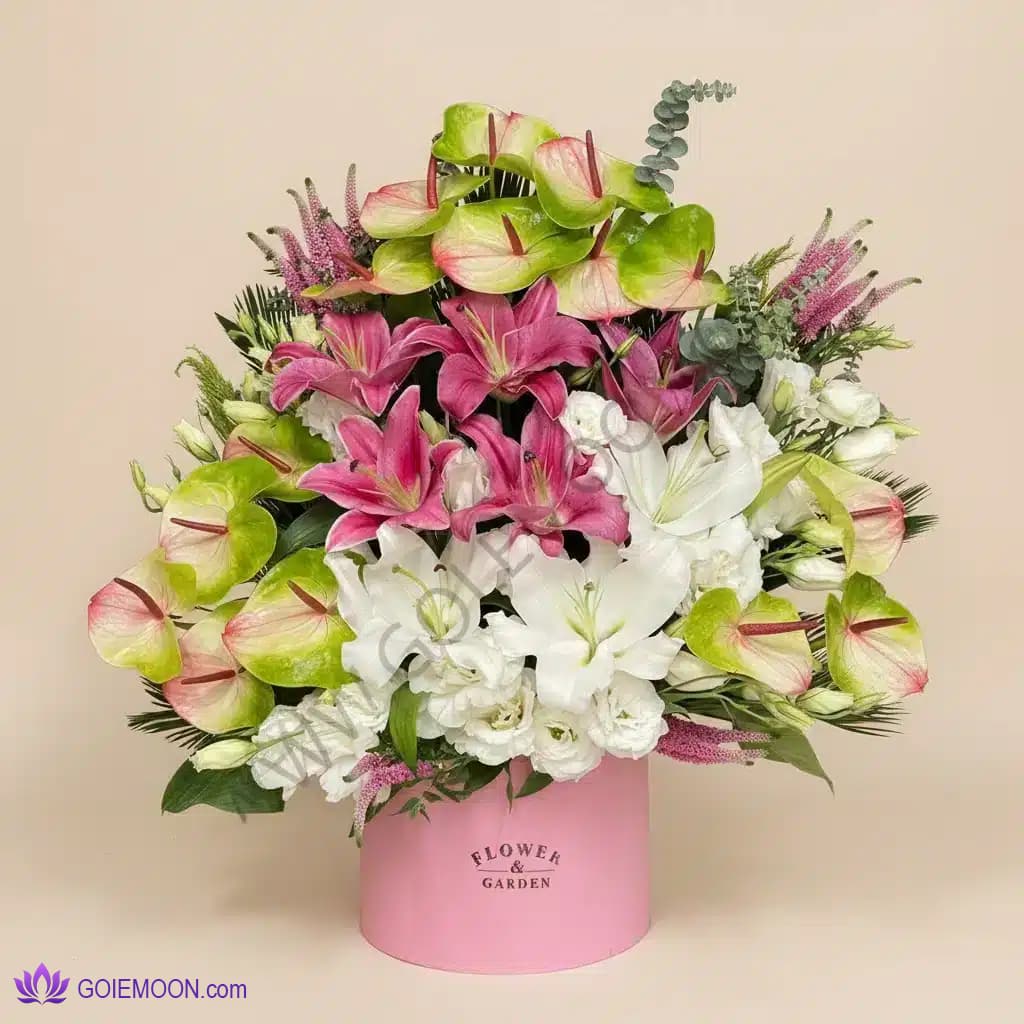 باکس گل آیسا