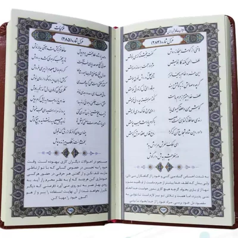 حافظ پالتویی چرم با گلدان فیروزه — تصویر ۸