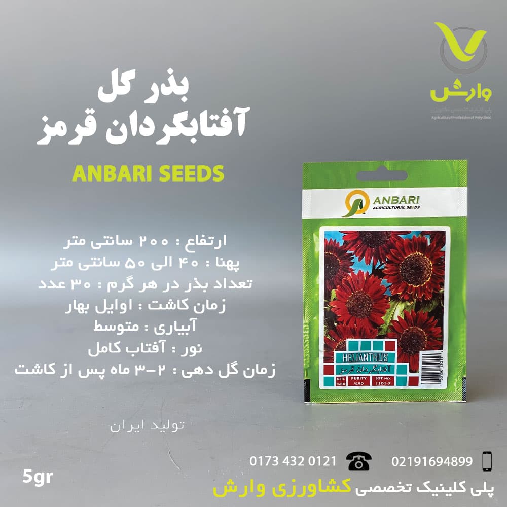 بذرگل افتابگردان قرمزعنبری بسته بندی خانگی