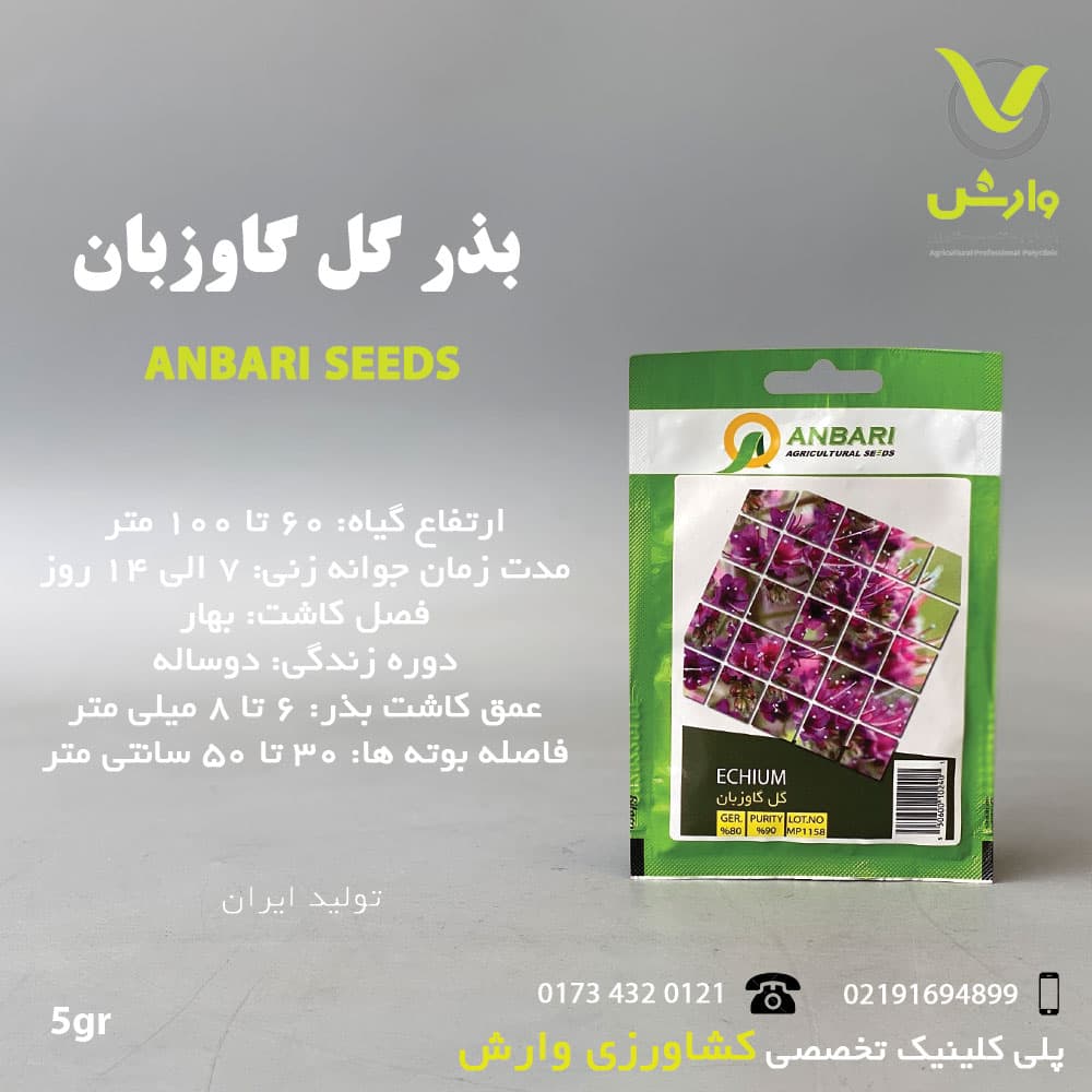 بذر گیاهان دارویی گل گاوزبان عنبری بسته بندی خانگی