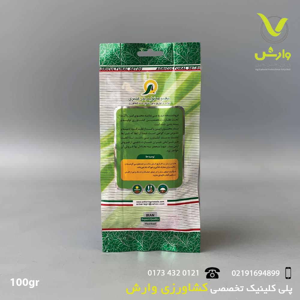 بذر کدو سبز عنبری 100 گرمی — تصویر ۲