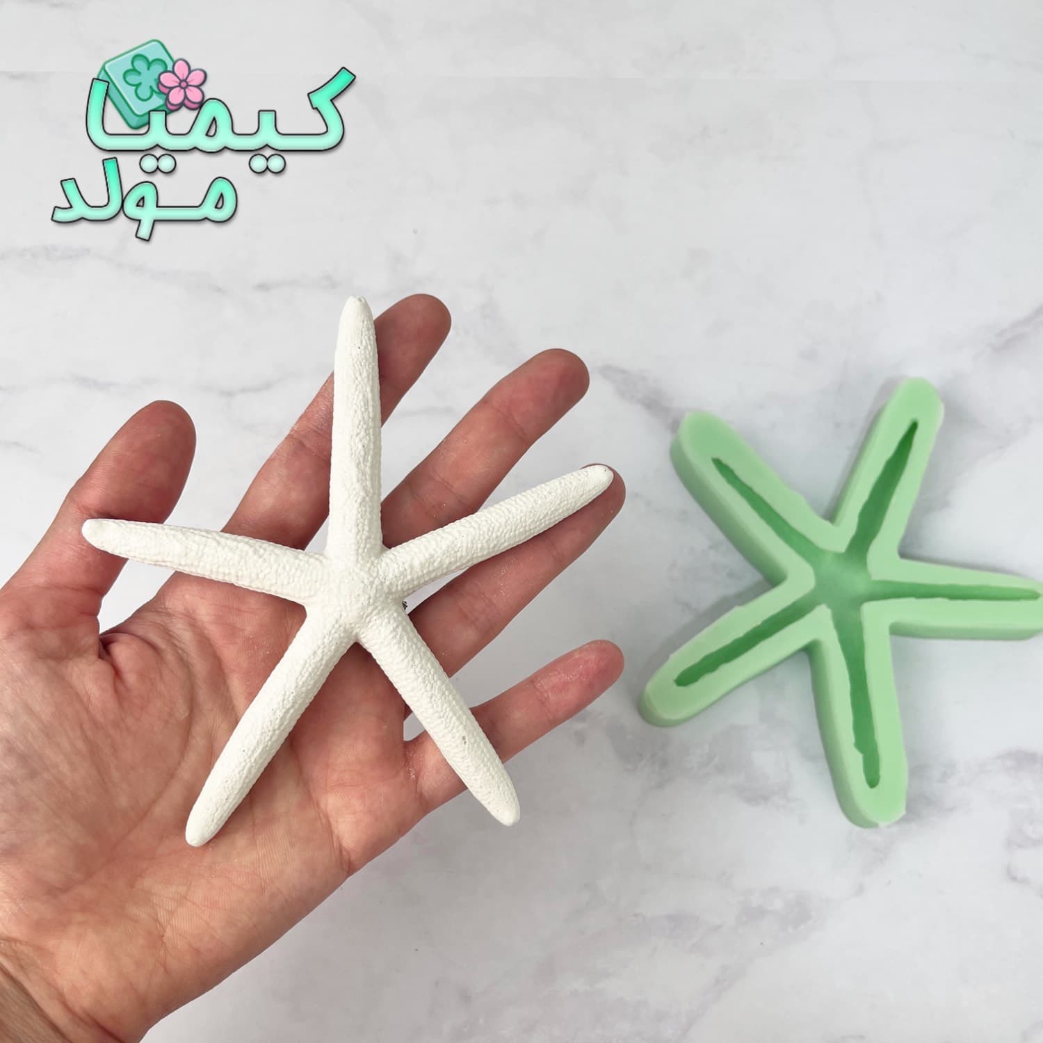 قالب سیلیکونی ستاره دریایی بزرگ — تصویر ۲