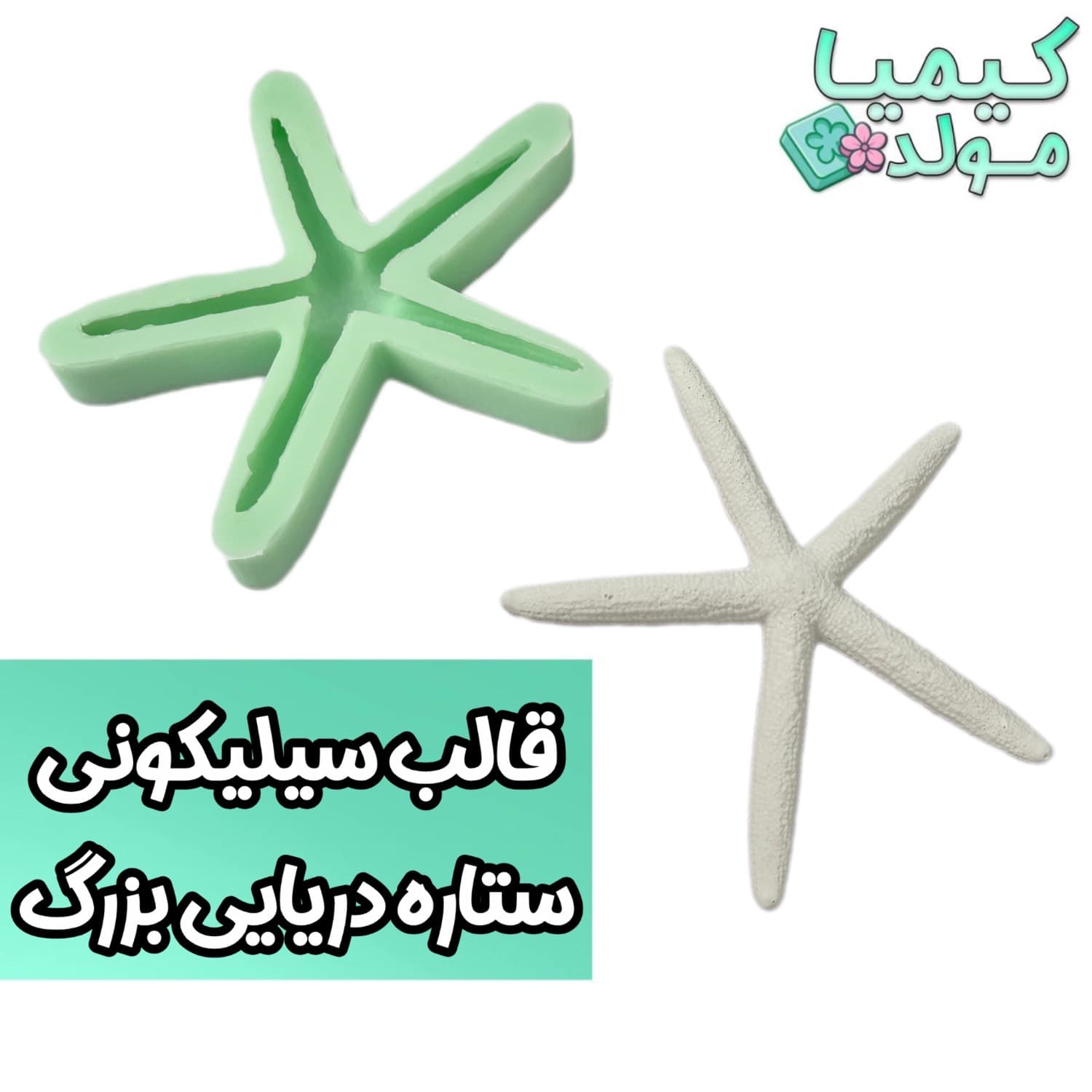 قالب سیلیکونی ستاره دریایی بزرگ