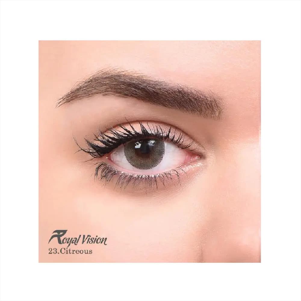 لنز رنگی رویال ویژن Royal Vision Daily Lens 23 Citreous