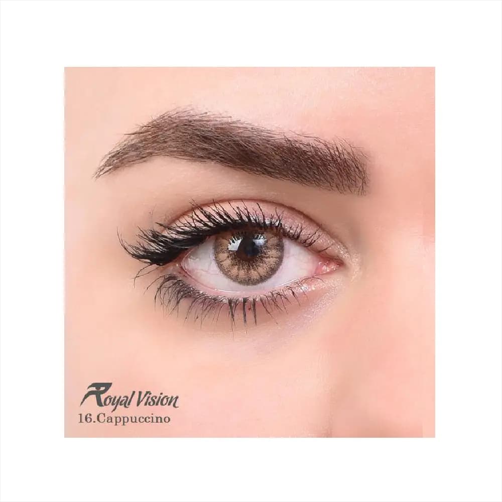 لنز رنگی رویال ویژن Royal Vision Daily Lens 16 Cappuccino