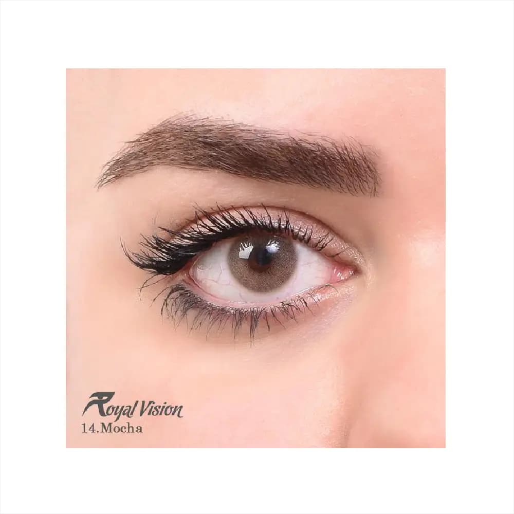 لنز رنگی رویال ویژن Royal Vision Daily Lens 14 Mocha