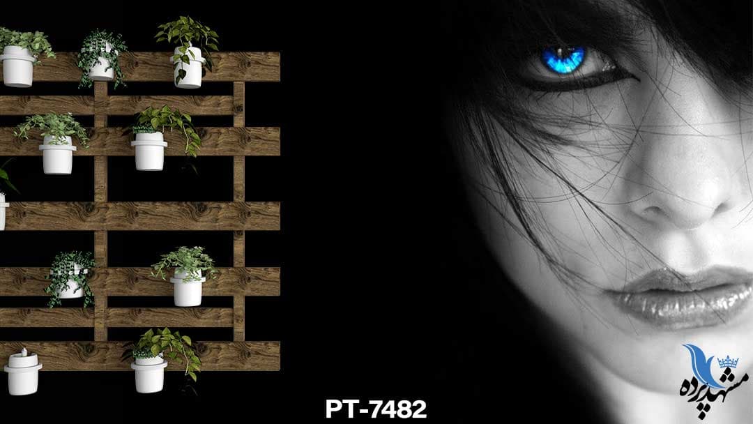 پوستر دیواری طرح چهره زن چشم آبی کد PT7482