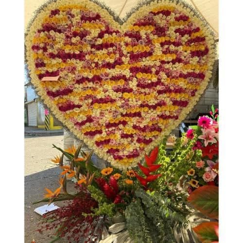 ارسال فوری گل برای آزمایشگاه گل تهران 7669