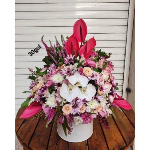 ارسال فوری گل برای آزمایشگاه نور تهران 7609