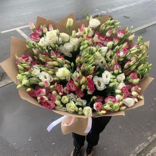 ارسال فوری گل برای آزمایشگاه شمال تهران 7415