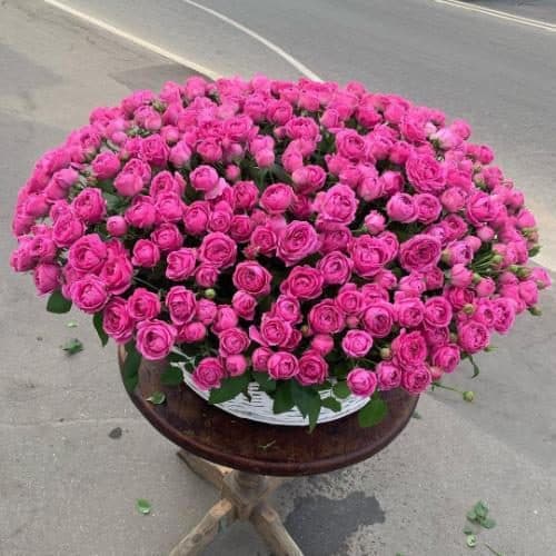 ارسال فوری گل برای آزمایشگاه تهران 7398