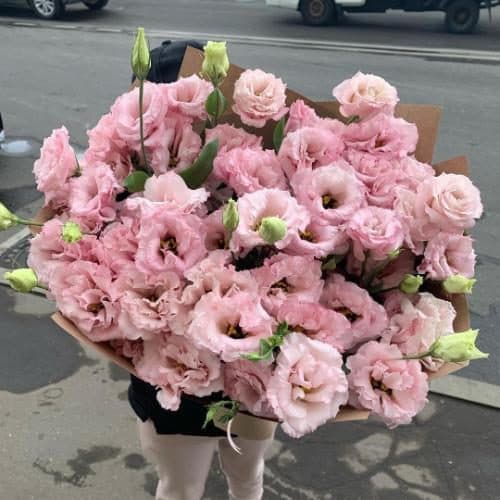 ارسال فوری گل برای آزمایشگاه بقراط تهران خیابان پیروزی 7392
