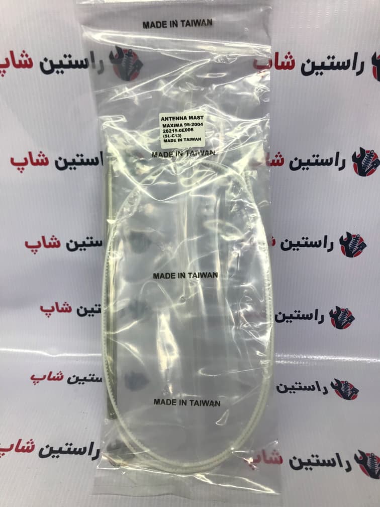 مغزی آنتن رونیز