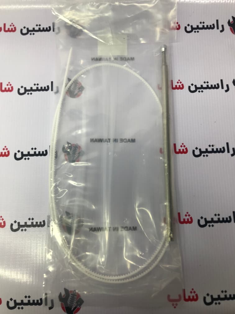 مغزی آنتن رونیز — تصویر ۴