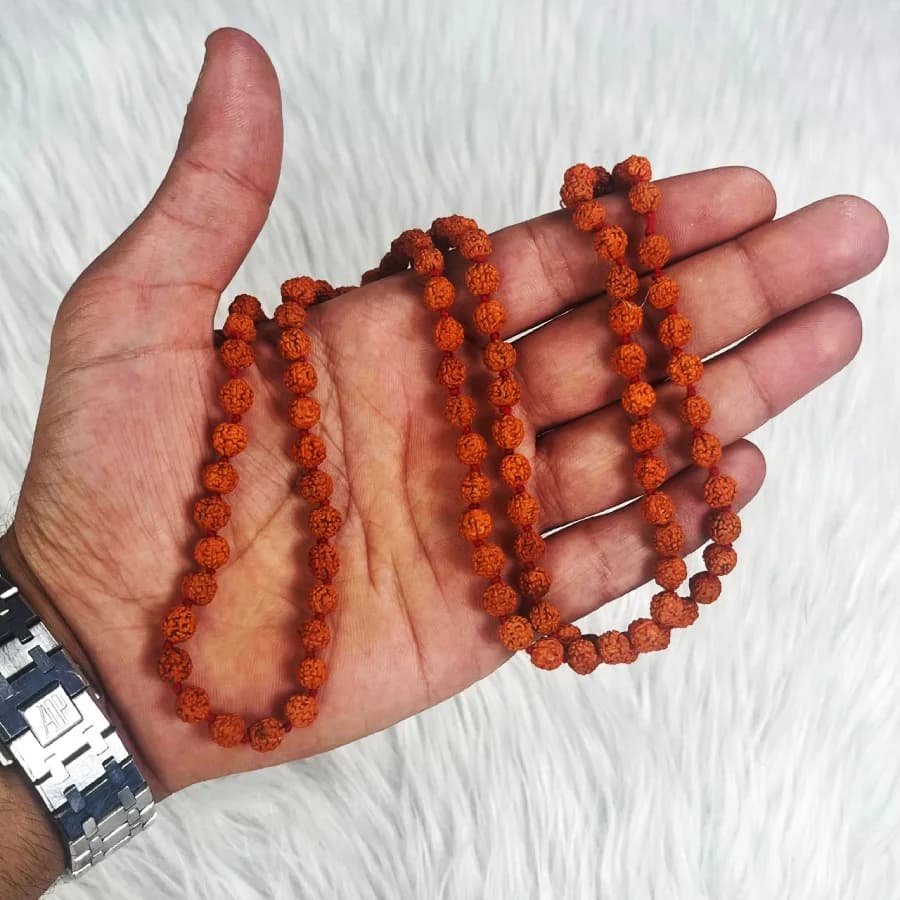 تسبیح رودراکشا کد TA19 — تصویر ۲