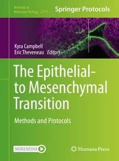 دانلود کتاب The Epithelialto Mesenchymal Transition