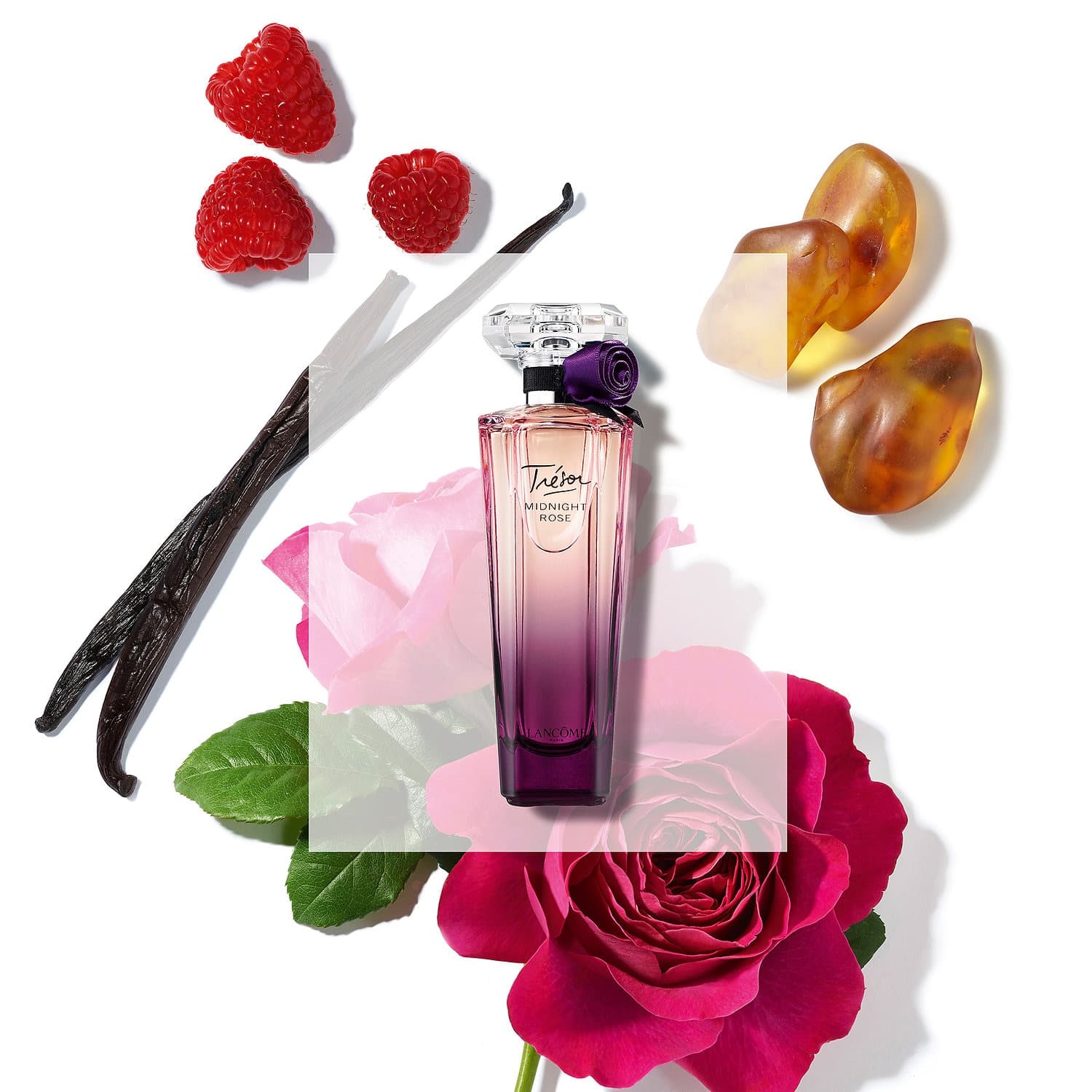 عطر ادکلن زنانه لانکوم مدل ترزور میدنایت رز Lancome Tresor Midnight Rose حجم ۷۵ میلی لیتر | Lancome Tresor Midnight Rose Eau De Parfum For Women 75 ml — تصویر ۳