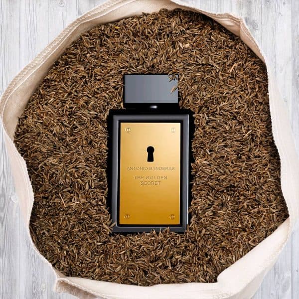عطر ادکلن مردانه آنتونیو باندراس مدل گلدن سکرت Antonio Banderas The Golden Secret حجم ۱۰۰ میلی لیتر | Antonio Banderas The Golden Secret Eau De Toilette For Men 100 ml — تصویر ۴