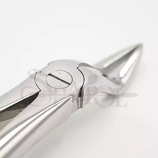 فورسپس ریشه کش بالا دنتال دیوایس Dental Devices — تصویر ۴