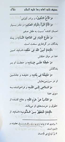 عرفان امامت (حدیث ناب امام رضا (ع)) — تصویر ۳