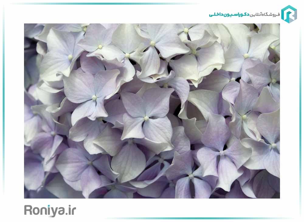 پوستر دیواری سه بعدی گلهای سفید کد NT-152