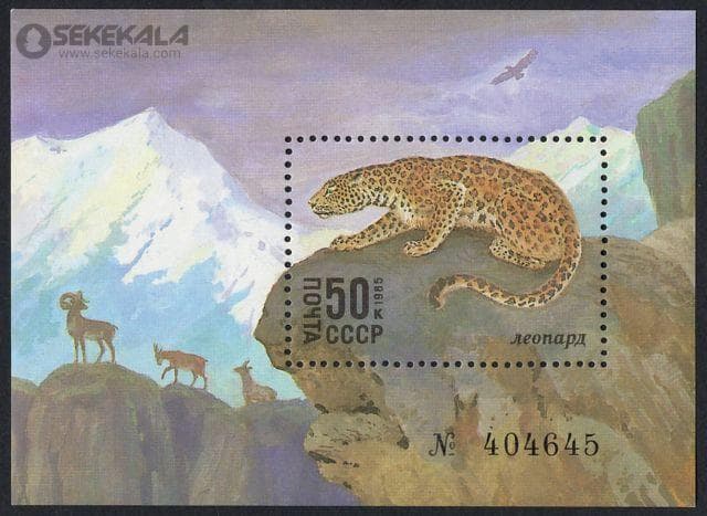 شیت تمبر اتحاد جماهیر شوروی 1985 (حیوانات – پلنگ)