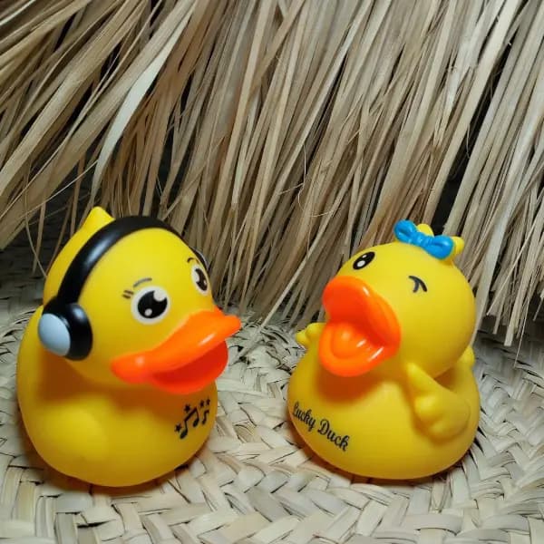 پوپت حمام اردک 2 عددی — تصویر ۲
