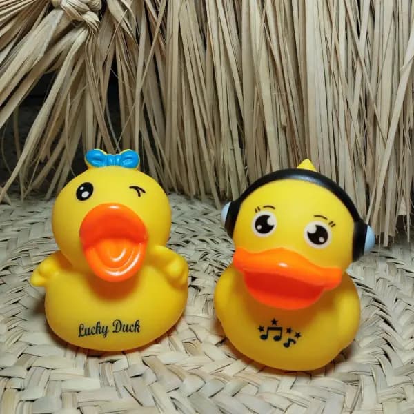 پوپت حمام اردک 2 عددی