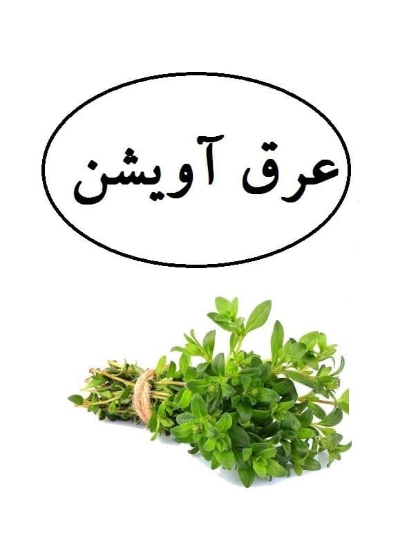 فروش عمده عرق آویشن کوهی دو آتیشه سبک – گالن 20لیتری – ارسال رایگان — تصویر ۲