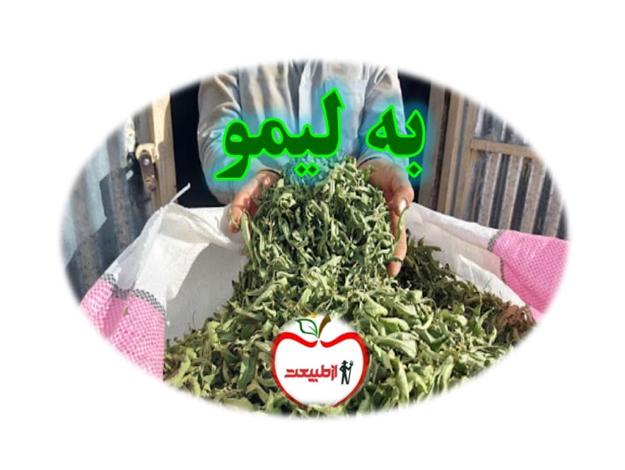 خرید عمده به لیمو ازطبیعت – 5کیلو – ارسال رایگان