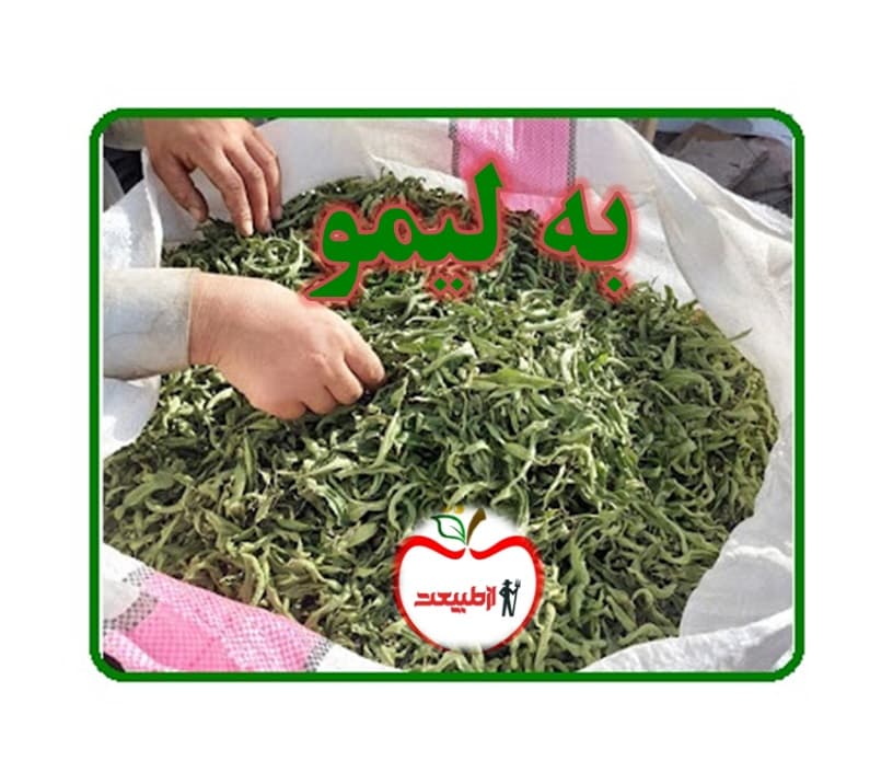 عمده فروش به لیمو ازطبیعت – 10کیلو – ارسال رایگان