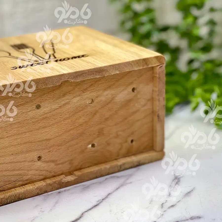 جاقاشقی 2خانه قلب رابروود — تصویر ۳