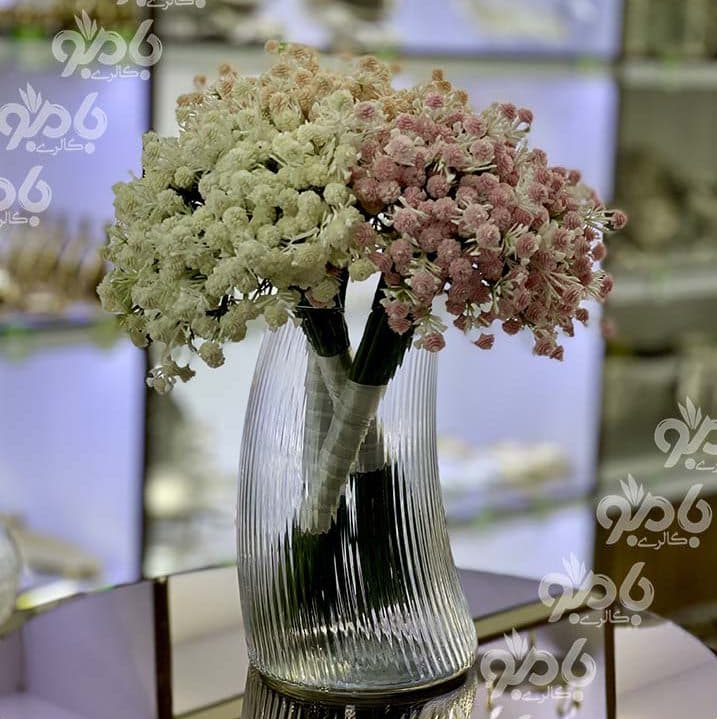 پارچ و لیوان آیلین — تصویر ۵