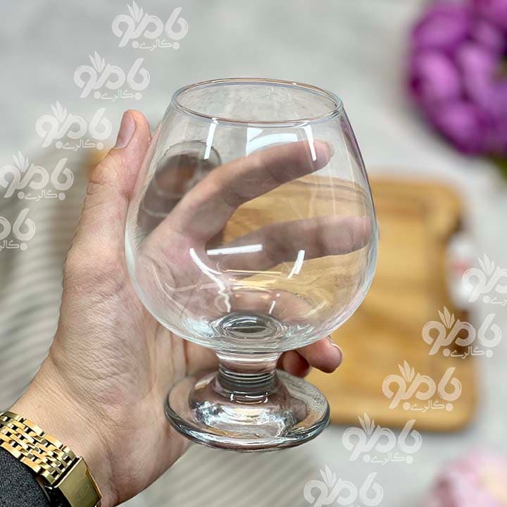 گیلاس پاشاباغچه بیسترو فانوسی — تصویر ۳