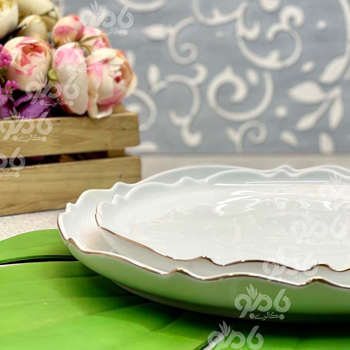 دیس چینی گرد موج متوسط — تصویر ۳