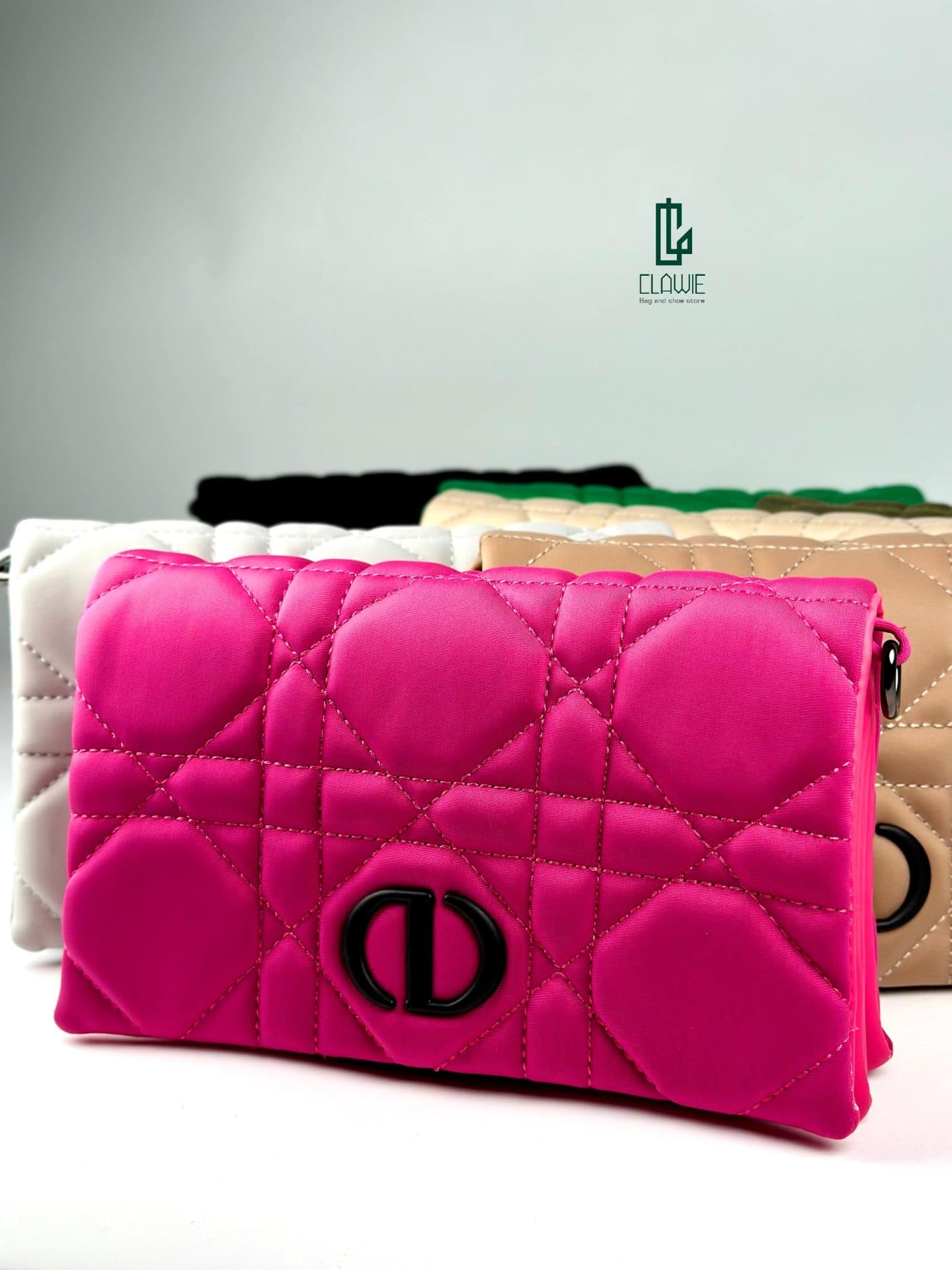 کیف پاسپورتی : Dior — تصویر ۲