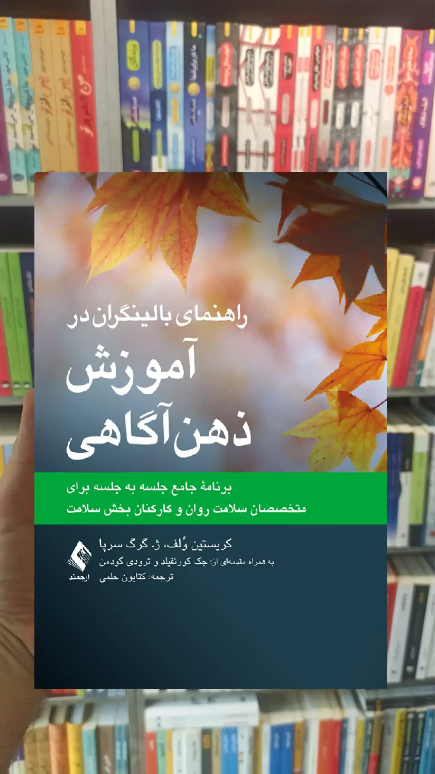 راهنمای بالینگران در آموزش ذهن آگاهی ارجمند