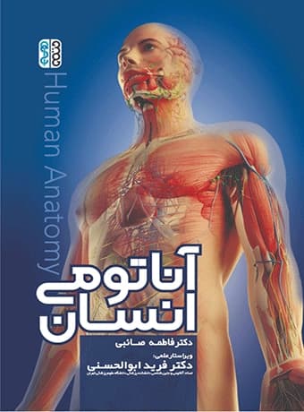 آناتومی انسان (دکتر صائبی)
