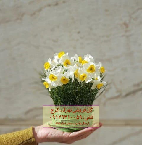 دسته گل نرگس فراموش نشدنی در گل‌فروشی کیانشهر شمالی