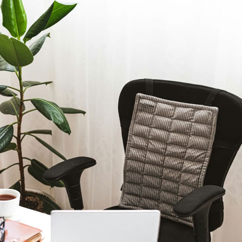 پشتی صندلی برقی نمکی ترمس بهمراه