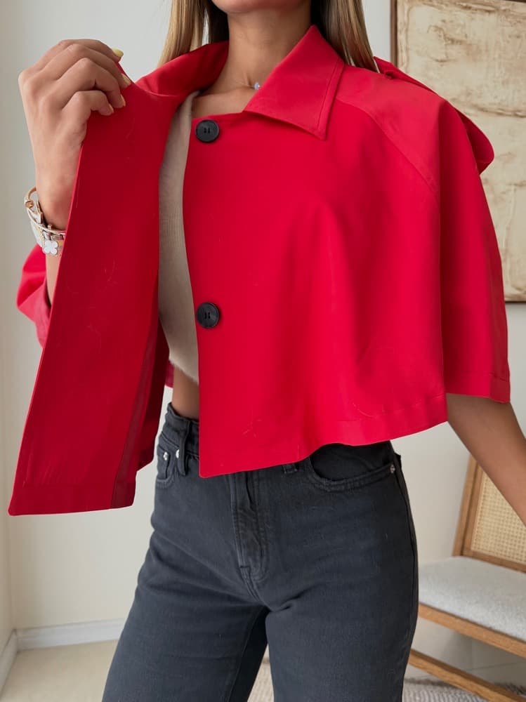 CATTLEYA ROUGE CAPE — تصویر ۳