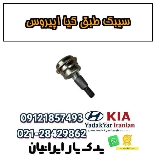سیبک طبق کیا اپیروس — تصویر ۲