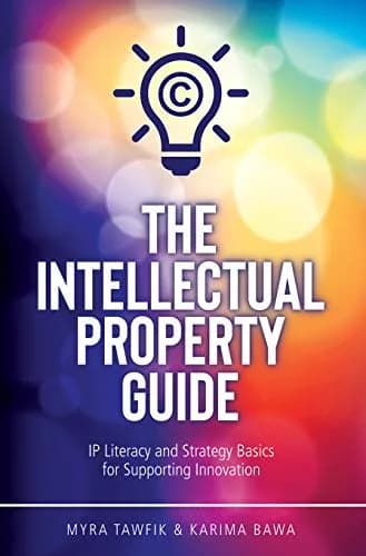 و دانلود نسخه کامل کتاب زبان اصلی The Intellectual Property Guide: IP Literacy and Strategy Basics for Supporting Innovation | دانلود کتاب خارجی