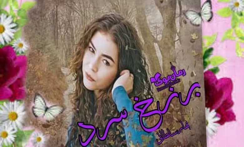 و دانلود نسخه کامل رمان برزخ سرد بهار سلطانی | رمان عاشقانه | رمان بزرگسال | رمان اجتماعی