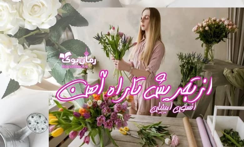 و دانلود نسخه کامل رمان از تجریش تا راه آهن افسون امینیان | رمان عاشقانه | رمان بزرگسال | رمان اجتماعی