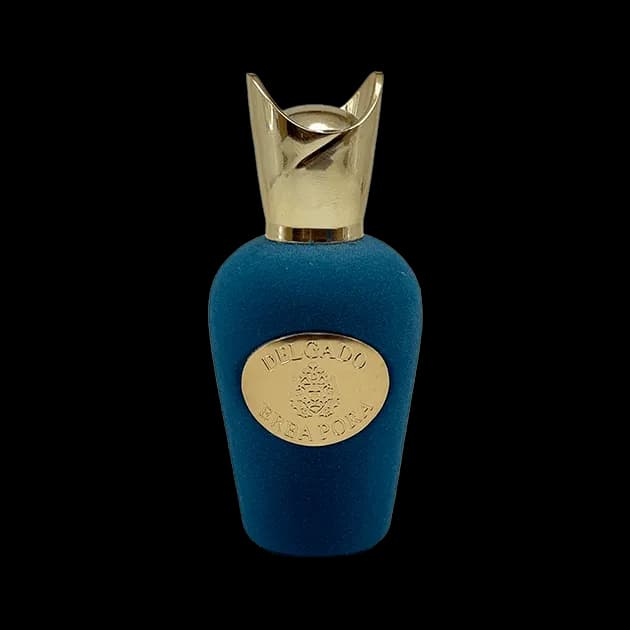 عطر مردانه دلگادو مدل Erba Pora – رایحه‌ای خنک، میوه‌ای و جوان‌پسند — تصویر ۲