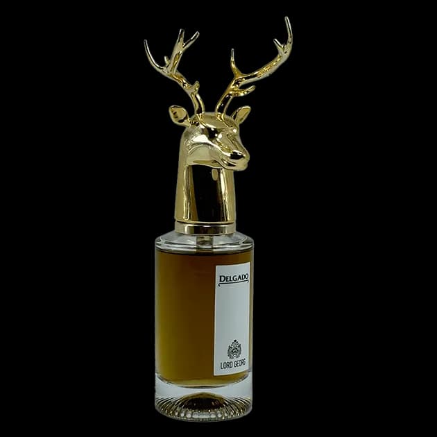 عطر مردانه دلگادو مدل Lord George – رایحه‌ای کلاسیک، باوقار و مردانه — تصویر ۲