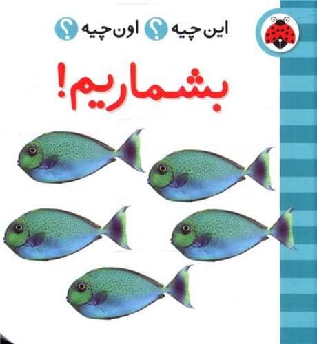بشماریم/ این چیه اون چیه/شهر قلم