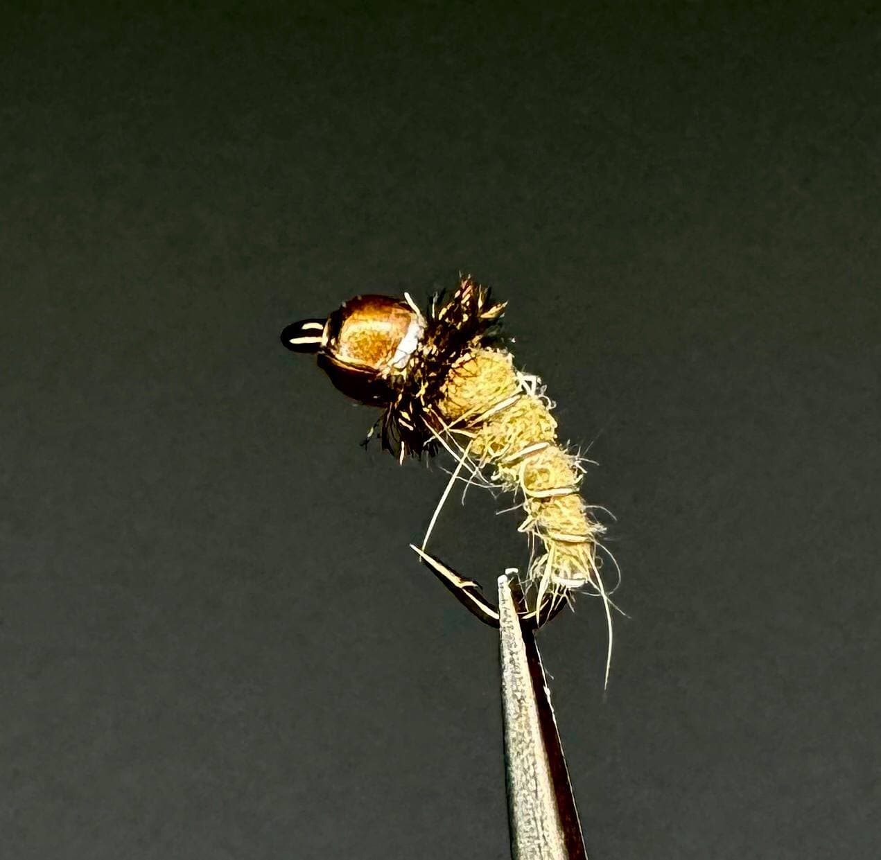 پشه ماهیگیری فلای لارو مگس (ماگوت) Fly Larvae (بسته 5 عددی)
